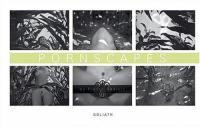 Pornscapes