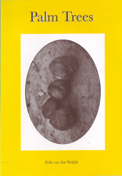 foto.zine nr.3 #2 Palm Trees