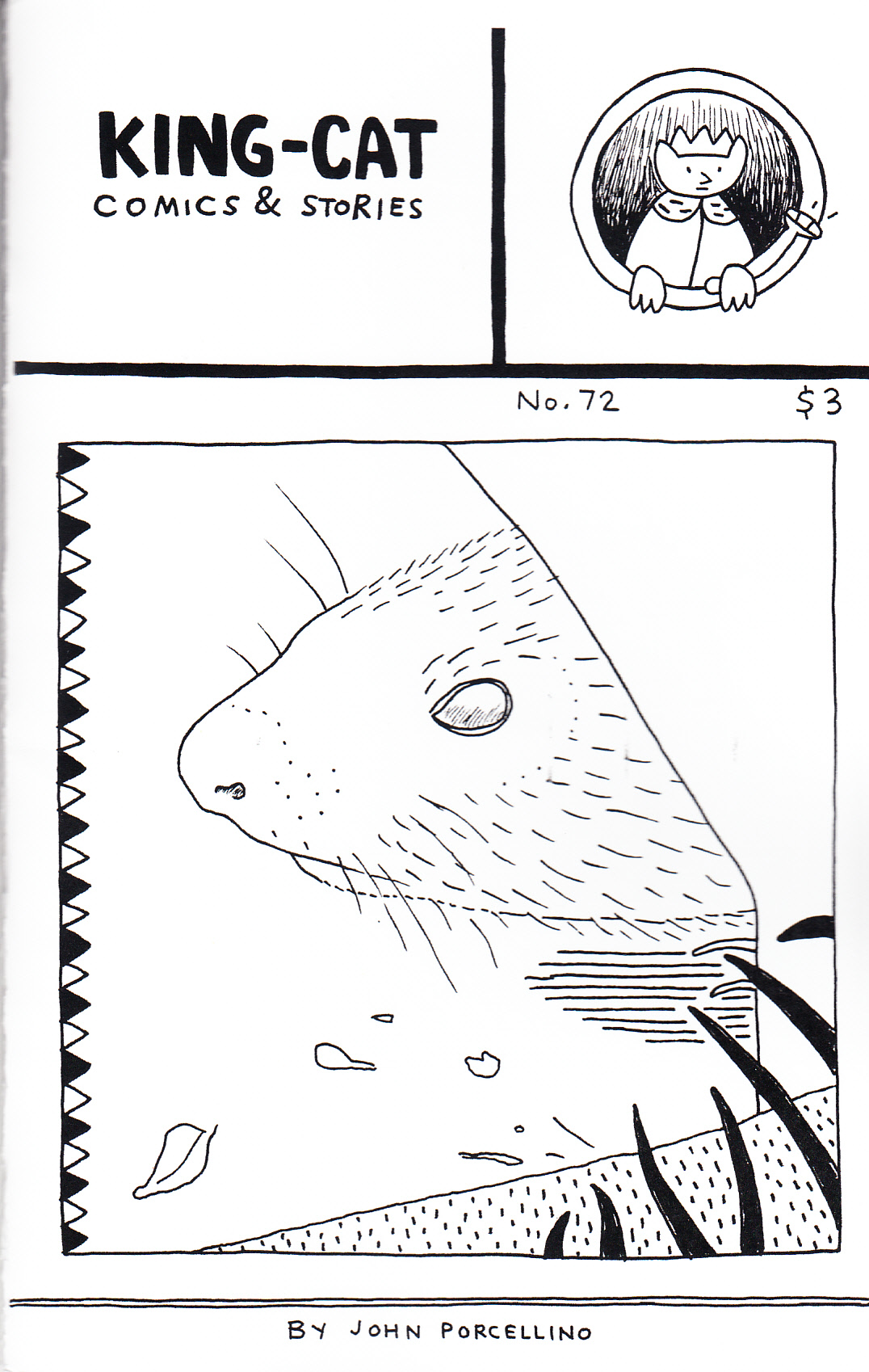 kingcat72