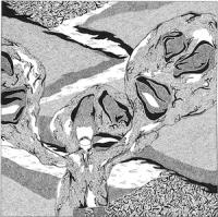 1st_45_cover_front_website_med