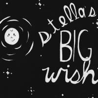 stellasbigwish_med